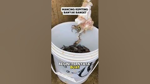Mancing kepiting #shorts #mancing #kepiting #tutorial