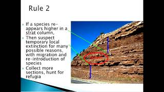 317 Biostratigraphy Part 2 NARRATED