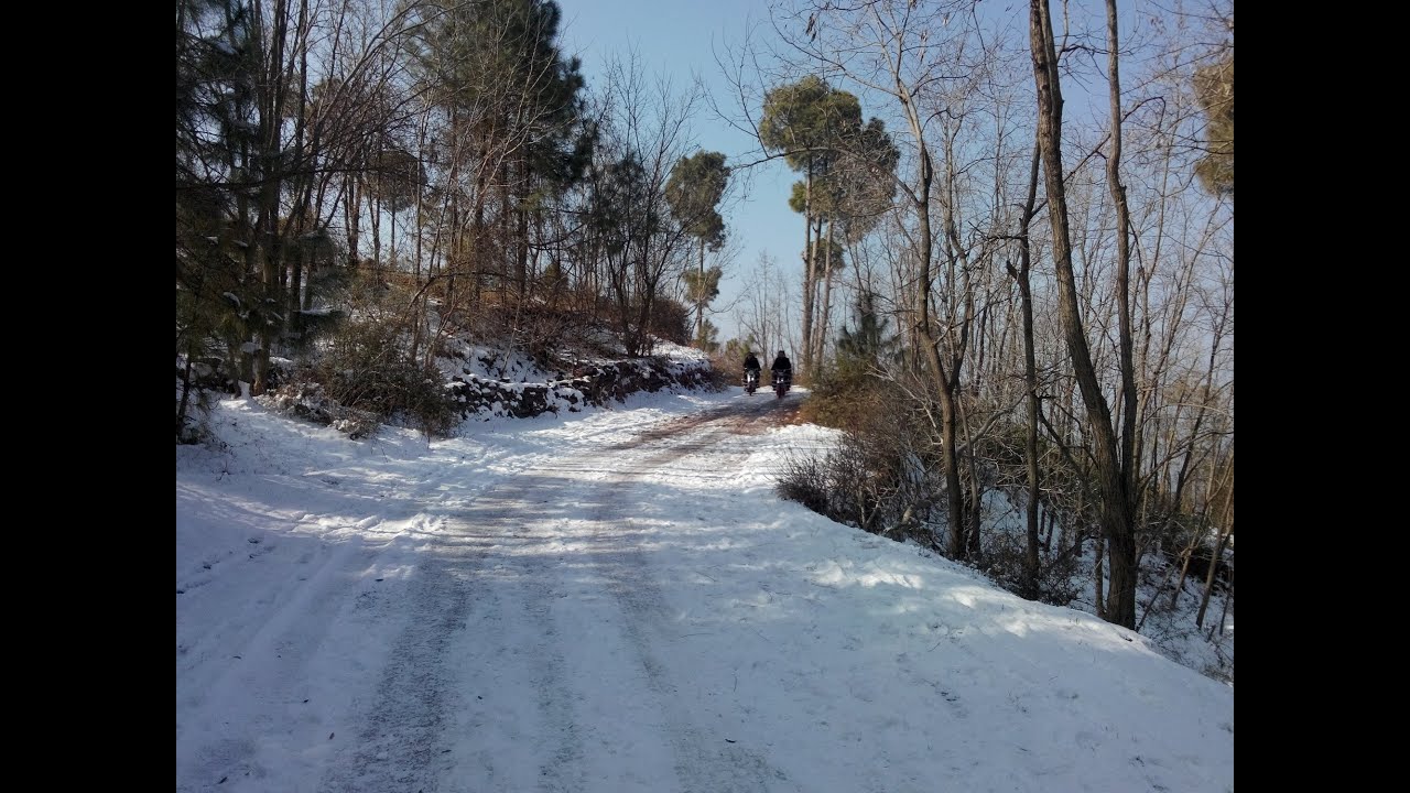 Human intervention and The Ecosystem YouTube