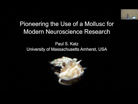 Pioneering the Use of a Mollusc for Modern Neuroscience Research