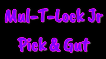 {105} Mul-T-Lock Jr Pick & Gut & Pick Measurements For The Flag