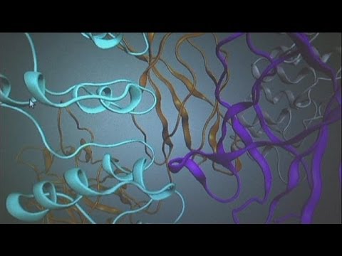 Videó: A Dioscorea Nipponskaya Kiváló Gyógyszer A Szklerózis Ellen
