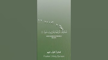 قران كريم الشيخ ياسر الدوسري ♥️ #قرآن #تلاوة #فذكر #اكسبلور #راحة_نفسية