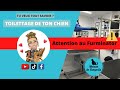 Le furminator nest pas bon pour les chiens  souspoils lopinion dune toiletteuse