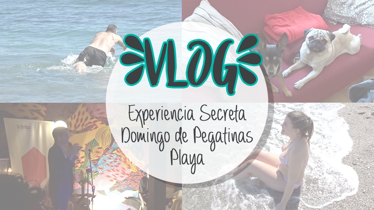 -Vlog- Playa / Experiencia Secreta / Domingo de pegatinas manualidades de animales