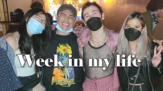 Week in my life | I met MAX & finally saw my Tesla! 🚗