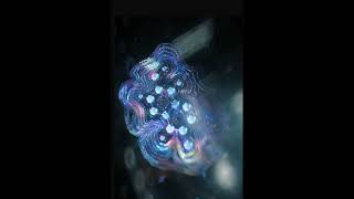 Scientific illustration exercise-molecular design