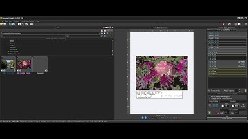 Qimage Ultimate - Automatic Rendering Intent