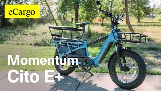 Is this the best cargo bike Momentum Cito E Plus #ebike #cargobike