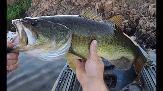 Kayak Bass fishing(Old town 106 Minn Kota)