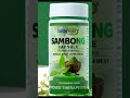 Sambong HerbalSupplement Capsule - 250mg x 100 Capsules