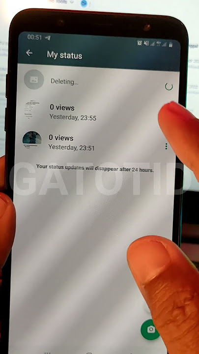 Remove Status WhatsApp | Kill User WhatsApp
