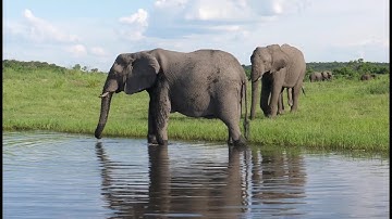 Launching the Climate Adaptation and Protected Areas Initiative