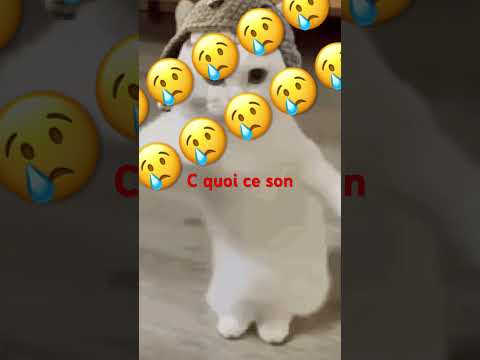 22 août 2026