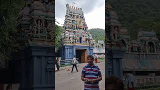 பழமதர சல மரகன கவல