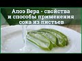 Алоэ - свойства и способы применения сока из листьев алоэ вера.