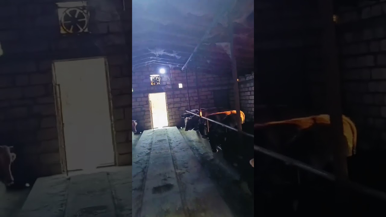 Tərtər rayonu Qaynaq kəndi ərazisində Ferma satışa çıxarilir.72500₼