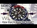 Seiko PADI Mini Turtle Review | SRPC41J1