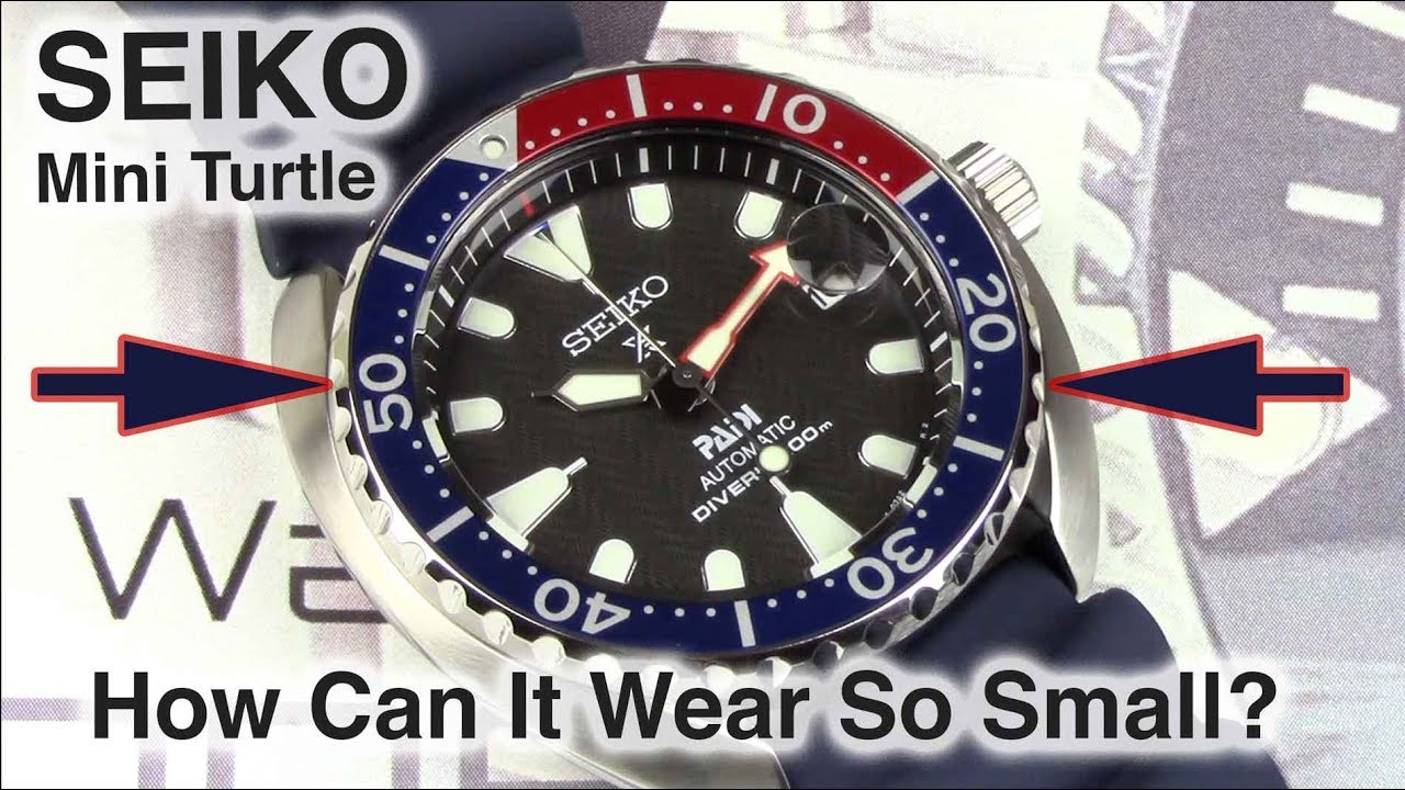 Seiko PADI Mini Turtle Review | SRPC41J1 - YouTube