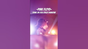 Thumbnail of Shine on You Crazy Diamond guitar solo #pinkfloyd