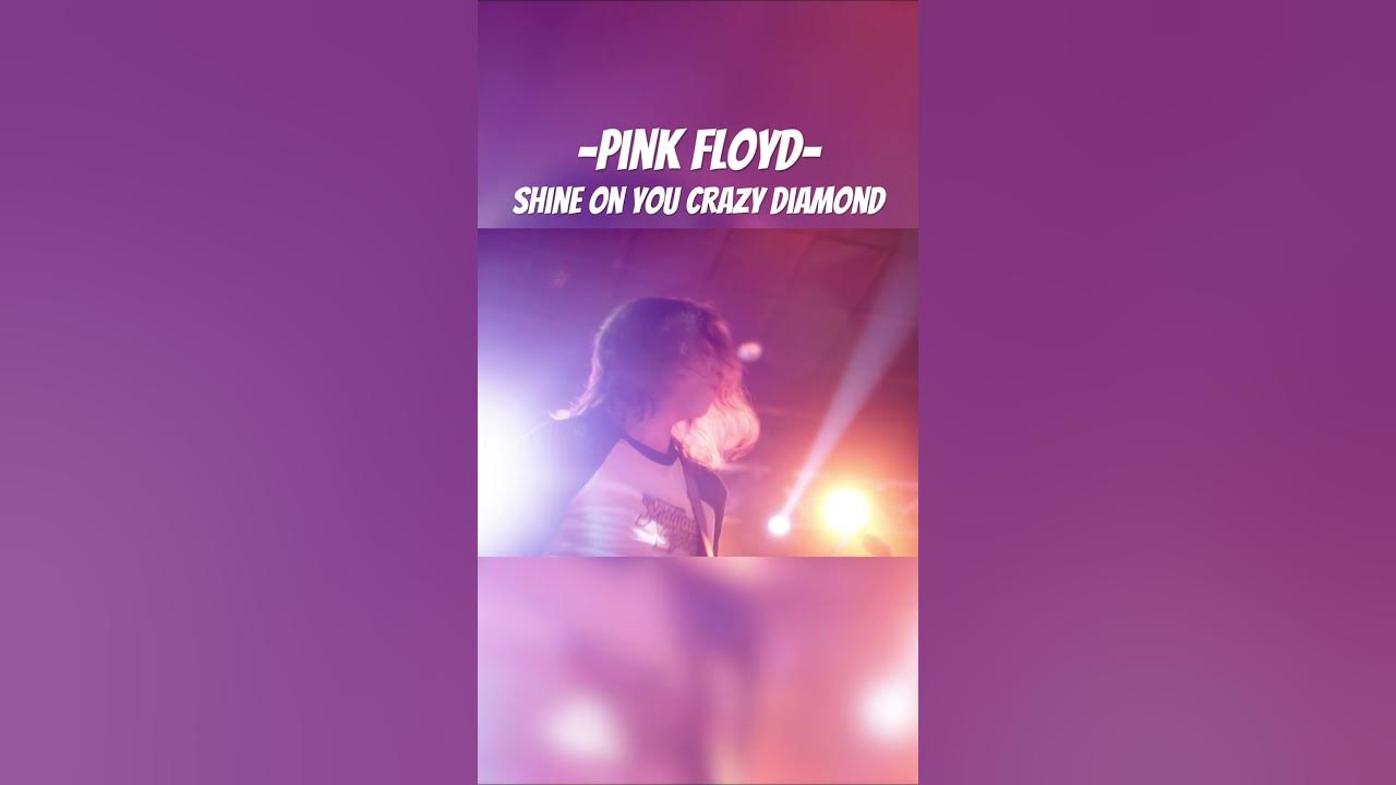 Shine on You Crazy Diamond guitar solo #pinkfloyd