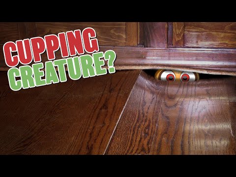 Spot level subfloor to repair laminate flooring : r/howto