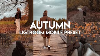 How To Edit Autumn Photography - Lightroom Mobile Presets Deep Fall Aesthetic Filter