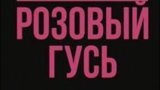Video thumbnail of "AContrari-РОЗОВЫЙ ГУСЬ"