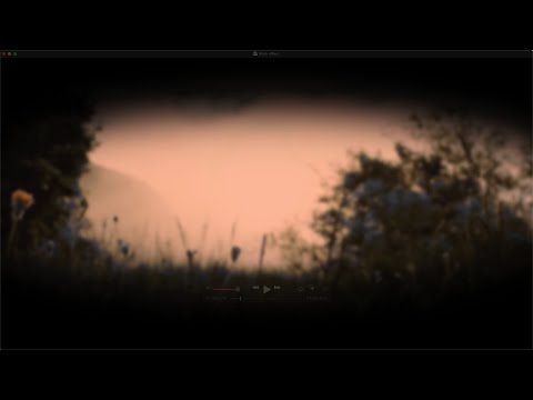 Eye Blink effect in Davinci resolve