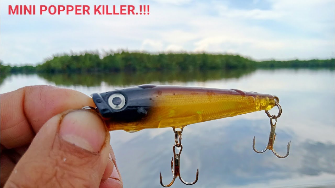 MINI POPPER MURAH & KUAT, COCOK UNTUK CASTING DIMUARA SUNGAI | LURE CASTING KILLER