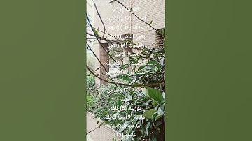سورة القارعة | تلاوة خاشعة | #المصحف #اكسبلور #الشيخ
