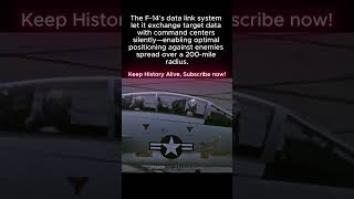F-14 Data Link: Enemies Over 200-MILE Radius. Command Center Feeds Targets. PERFECT Position.