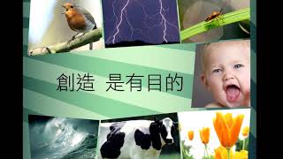 ：2012 榮耀盼望 vol.4 ：拉線(二) 拉線例子及4794傳奇