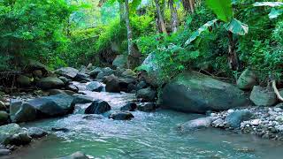 🌿 Relaxing River Sounds for Deep Sleep, Stress Relief and Peaceful Night Ambience 🌙