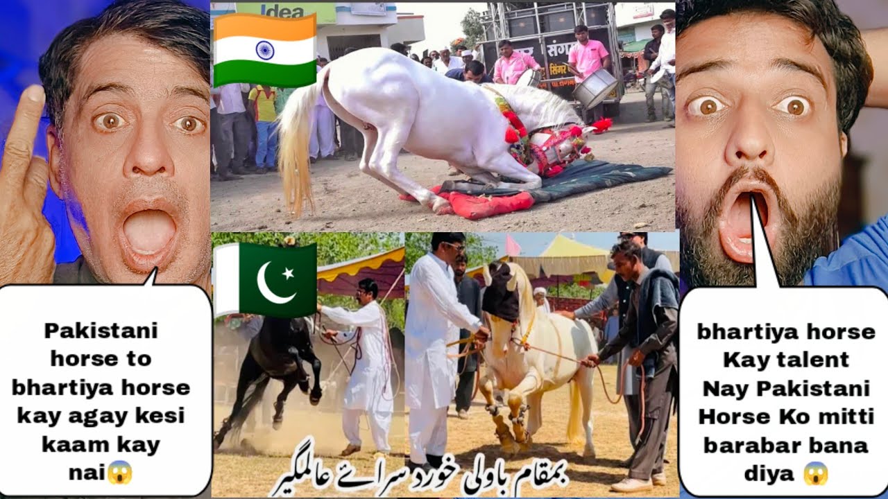 Indian Horse Dance Skills Vs Pakistani Horse Dance Skills | Pakistani Reactions