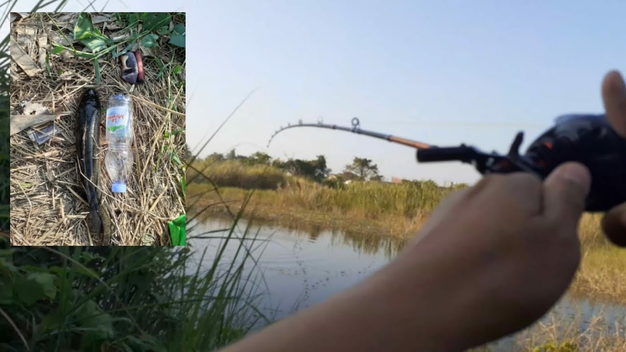 Casting Babon Gabus Hook Up Tipis Auto Deg Degkan‼ - YouTube