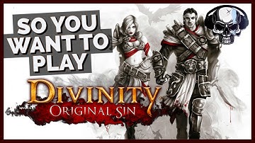 So You Want To Play Divinity: Original Sin...(New Player