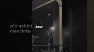 Lirik Lagu - Rasah Bali X Ojo Goblok Mencinta