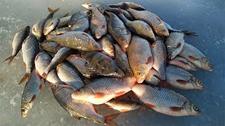 видео: Супер КЛЕВ ПЛОТВЫ на СТАВКИ со льда. Браславские озера. Последний лед 2021. картинка: Супер КЛЕВ ПЛОТВЫ на СТАВКИ со льда. Браславские озера. Последний лед 2021.