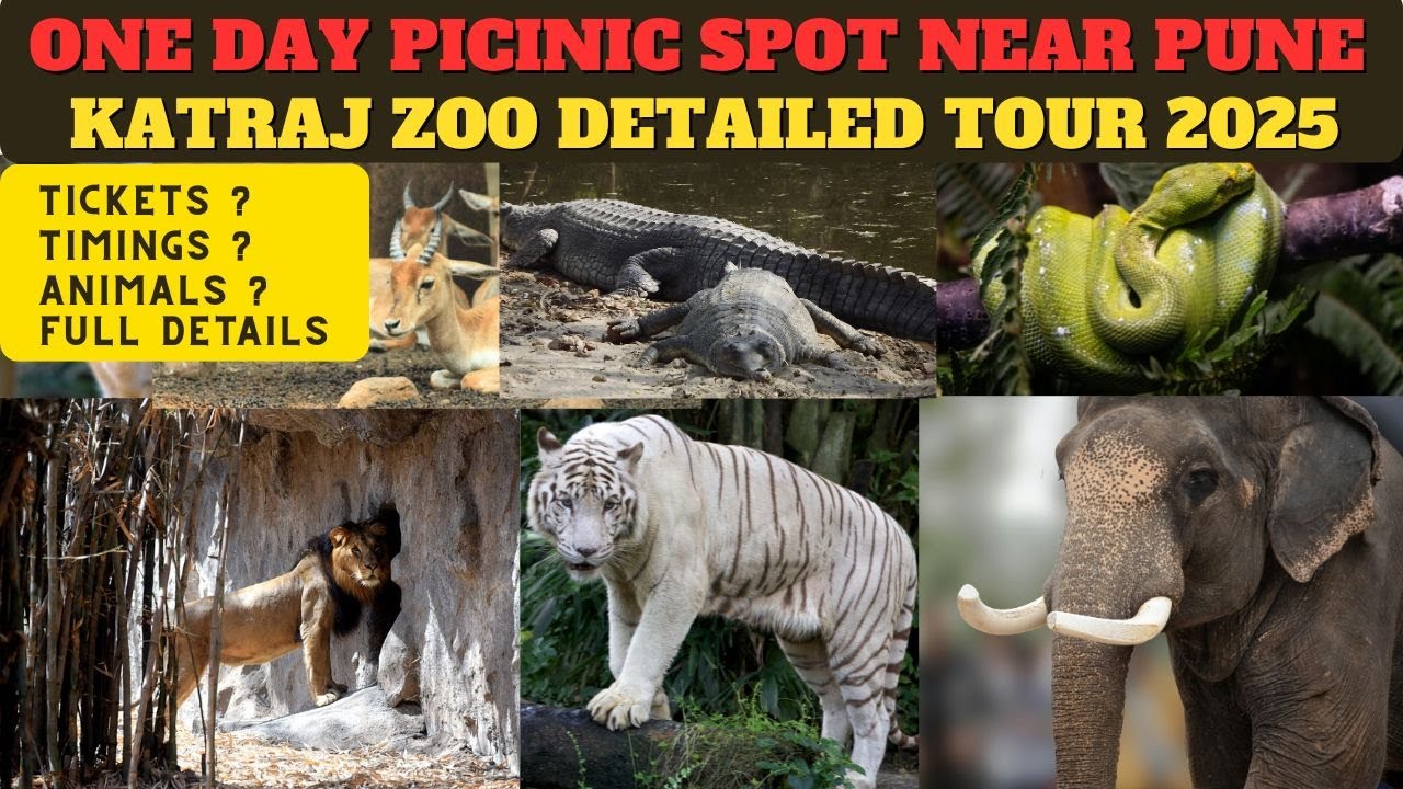 Pune’s Biggest Zoo Tour ! Rajiv Gandhi Zoological Park | Pune’s Best Family Outing Spot🐯✨ Katraj zoo