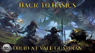[GW2] Back to Basics #001 - Druid at Vale Guardian