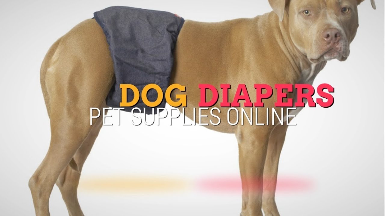 Buy Dog Diapers and Get Cashback YouTube