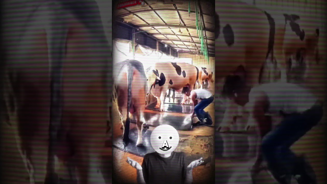 Ram Ji ke Naam par Tax? by 