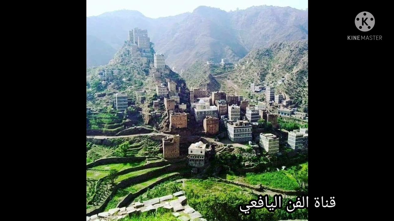 قال ثابت عوض لو كمل الشيب راسي _ الفنان علي صالح اليافعي