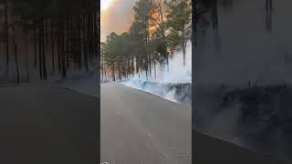 Big controlled burn #burn#burning#fire#viral