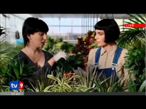 გრატოს სათბურები Part 2- Grato Greenhouse