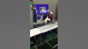 High quality automatic conveyor online detection weighing machine