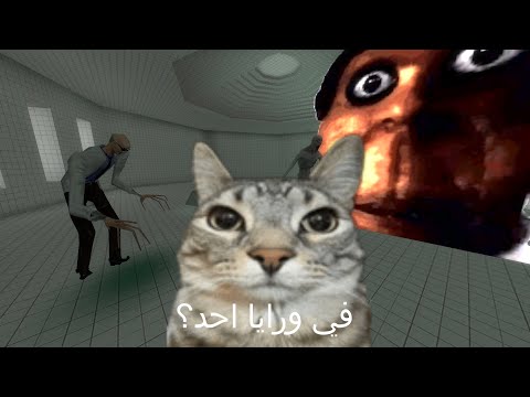 قاريز مود هي لعبة رعب   