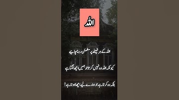 Beautiful Words #islam #islamicstatus #islamicvideo #deensayings #quotes #love #motivation #poetry