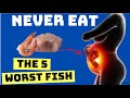 The 5 WORST FISH to NEVER EAT!!